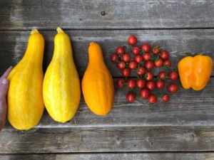 squash cherry tomatoes and bell pepper