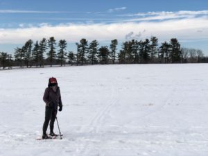 woman snowshoeing with trees in background