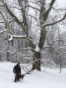 man and dog in snowy backdrop