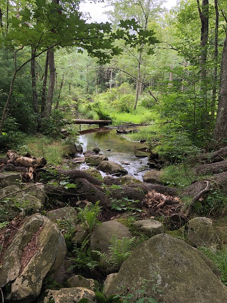 Pinchot Trail stream with rocks and boulders